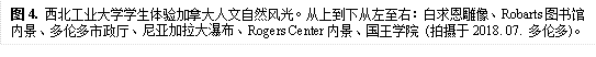 图4. 英国上市公司365员工体验加拿大人文自然风光。从上到下从左至右:白求恩雕像、Robarts图书馆内景、多伦多市政厅、尼亚加拉大瀑布、Rogers Center内景、国王公司 (拍摄于2018. 07. 多伦多)。